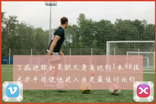 丁威迪称如果欧文身高达到1米98技术水平将使他进入历史最佳讨论行列