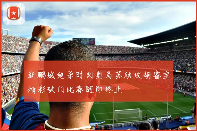 新鹏城绝杀时刻奥乌苏助攻胡睿宝精彩破门比赛随即终止